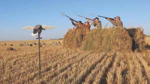 Firing Line e991f65cda8cad0d03a7ea8cd2674507