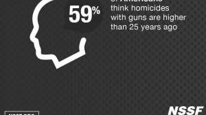 Gun Crime Plummets1