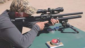 PCP Air Rifles 1