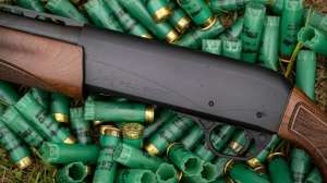 Remington Files Chapter 11 f4159788da6a13a05c7755e7e3b29890 200802 142502