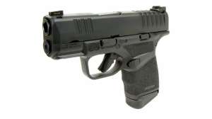 Springfield Armory Hellcat subcompact 9mm e991f65cda8cad0d03a7ea8cd2674507 200708 162507