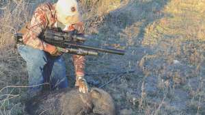 Air Rifles