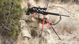Airforce Texan airgun Jim Chapman