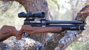 Airgun 1