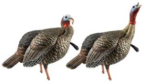 Avian X HDR Decoys