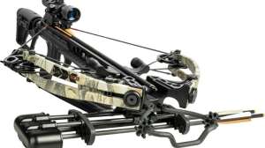 Bear Archery Saga 370