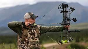 Bear Archery Spotlight beauty