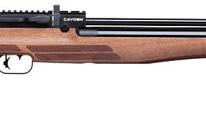 Benjamin Cayden Air Rifle wooden stock