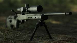 Bergara rifle