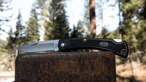 Buck