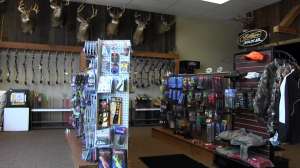 Bucks and Bulls Archery 2