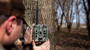 Bushnell Cellucore 30 On The Tree