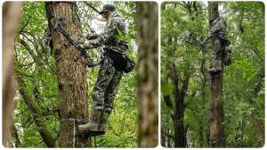 Collage sadde hunting