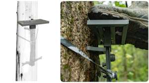 Collage tree platform
