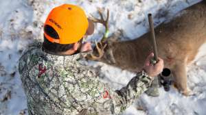 Deer Hunting