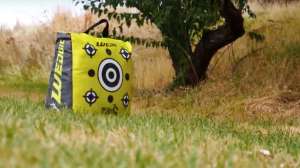 Delta Wedgie target beauty 190104 122148