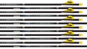 Easton Arrow beauty