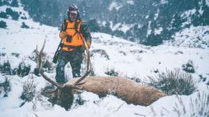 Elk Hero