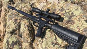 Gamo tc45 beauty copy