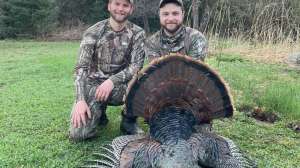 Gobbler Buds