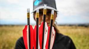 Gold Tip Spotlight beauty