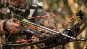 Hybrid and mechanical broadheads 190104 121901