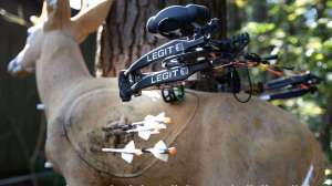 Legit on 3 D target