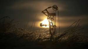 Manufacturer Spotlight Hoyt Archery beauty