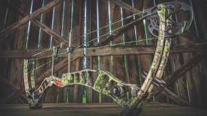 Martin Archery lead pic 190104 122002