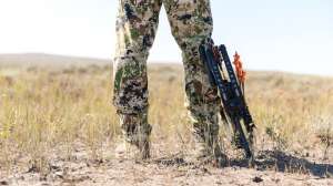 Mathews Vertix prairie beauty