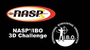 NASP and IBO logo