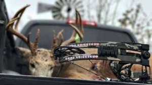 Outtech Obsession Bows beauty 190104 122147