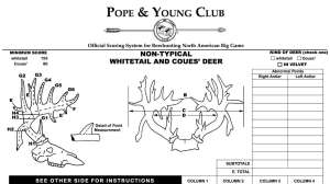PY Club entry form