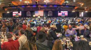 Pheasant Fest beauty