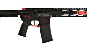 RAW 15 P 300 rifle