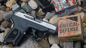 Ruger LCP Max main