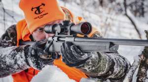 Savage 334