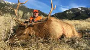 Suppressors 1 Bob Robb Mtn elk
