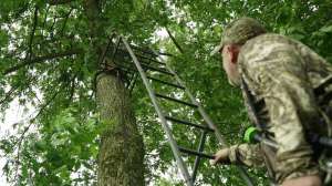 Tree Stand Buddy beauty
