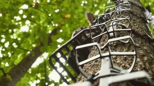 Treestands and Ground Blinds beauty