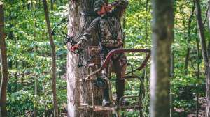 Trophy Treestands beauty
