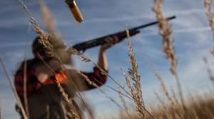 Upland shotgun