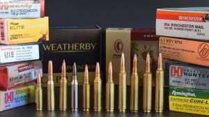 Various 6 5 cartridges ammunition Photo by Wayne Van Zwoll