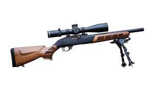 WOOX Ruger 10 22