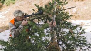 Well balanced camo offering