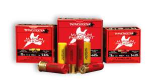 Winchester Pheasant Magnum copy