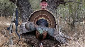 Bob turkey 5 copy