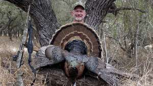Bob turkey 5