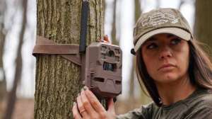 Cell trail cam 12 pic