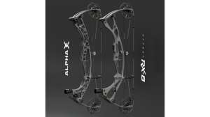 New Hoyt flagships cropped